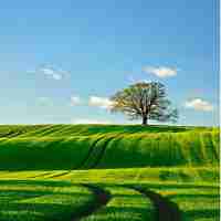 ssl证﻿书‍服​务​器‍类​型﻿